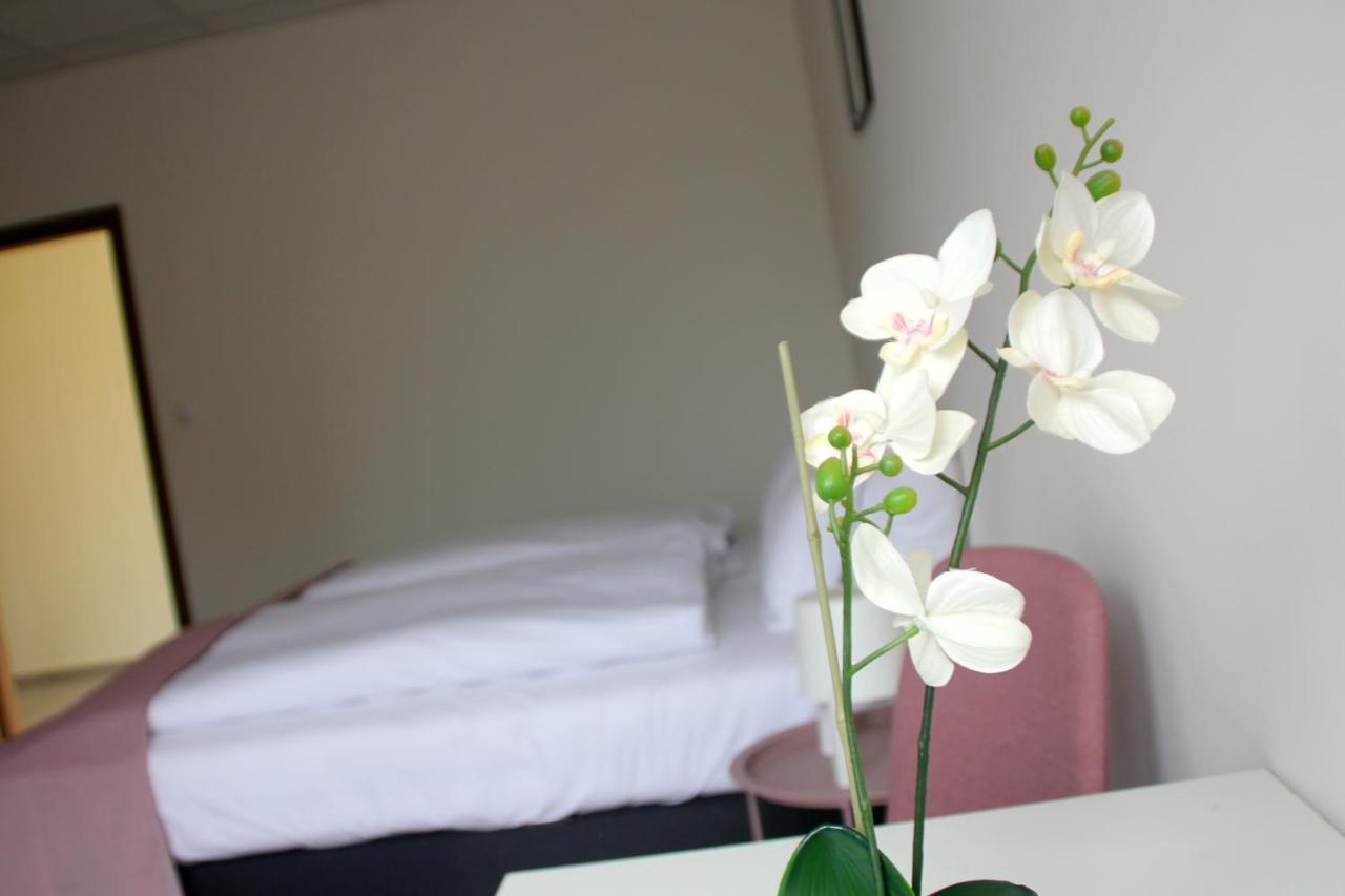 Bed and Breakfast Vecsesi Rendezvenykoezpont Es Panzio Zewnętrze zdjęcie